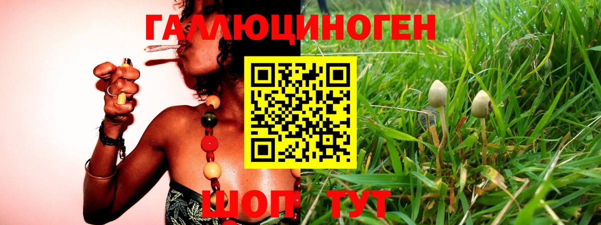 Галлюциногенные грибы Cubensis Омск